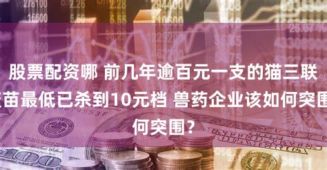 股票配资哪 前几年逾百元一支的猫三联疫苗最低已杀到10元档 兽药企业该如何突围？
