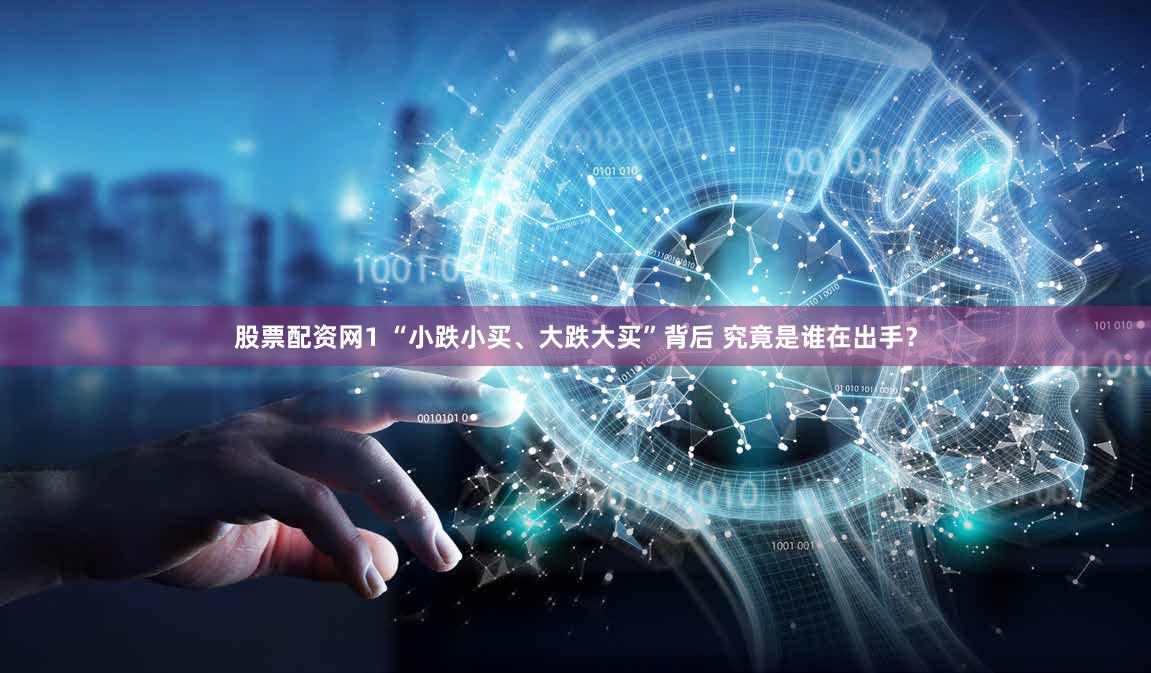股票配资网1 “小跌小买、大跌大买”背后 究竟是谁在出手？