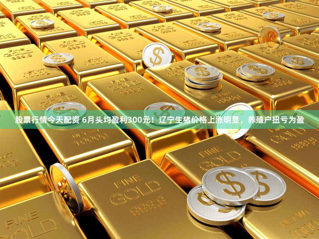 股票行情今天配资 6月头均盈利300元！辽宁生猪价格上涨明显，养殖户扭亏为盈