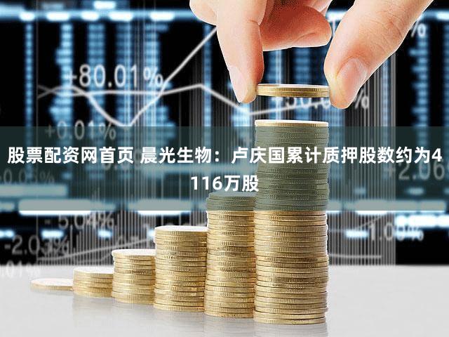 股票配资网首页 晨光生物：卢庆国累计质押股数约为4116万股