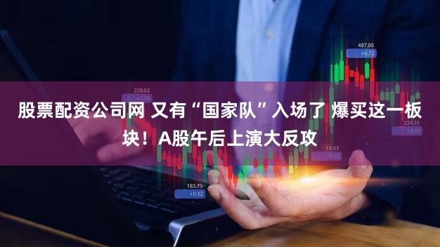 股票配资公司网 又有“国家队”入场了 爆买这一板块！A股午后上演大反攻