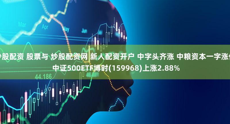 炒股配资 股票与 炒股配资网 新人配资开户 中字头齐涨 中粮资本一字涨停 中证500ETF博时(159968)上涨2.88%