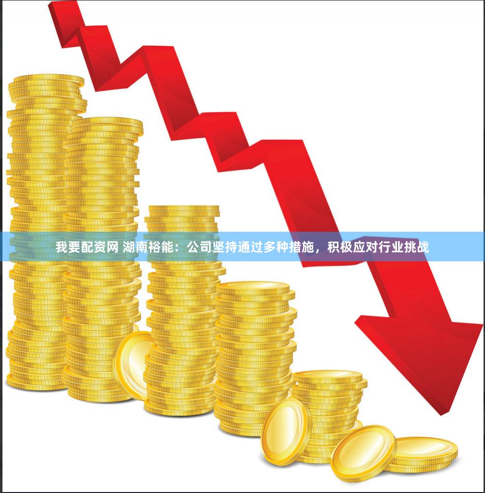 我要配资网 湖南裕能：公司坚持通过多种措施，积极应对行业挑战