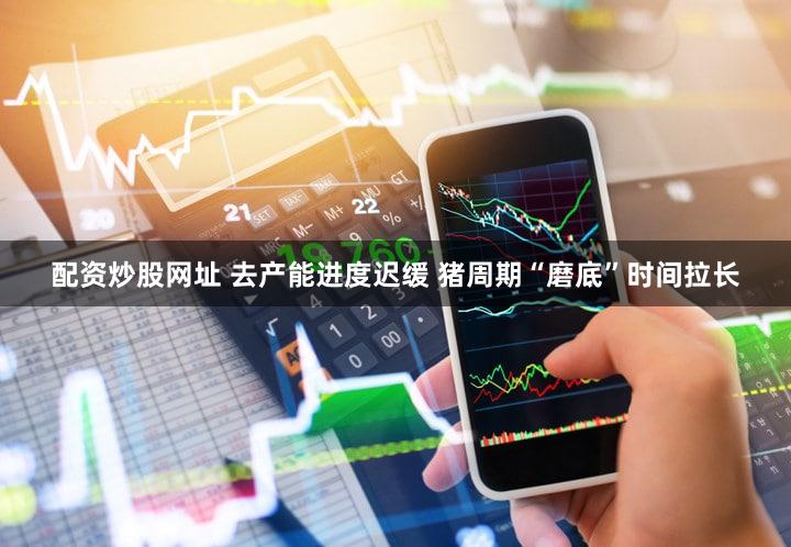 配资炒股网址 去产能进度迟缓 猪周期“磨底”时间拉长