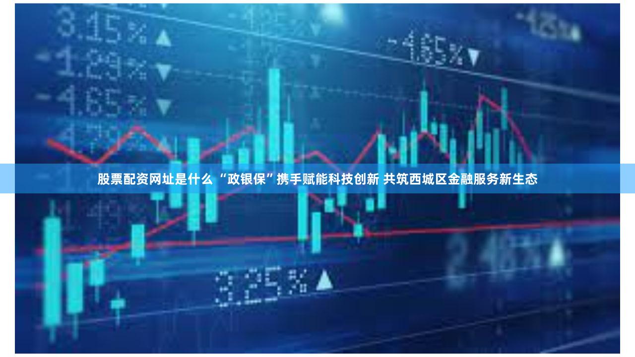 股票配资网址是什么 “政银保”携手赋能科技创新 共筑西城区金融服务新生态