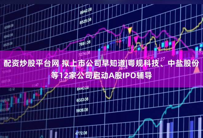 配资炒股平台网 拟上市公司早知道|粤规科技、中盐股份等12家公司启动A股IPO辅导