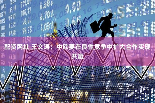 配资网址 王文涛：中欧要在良性竞争中扩大合作实现共赢