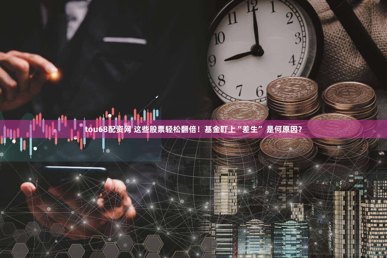 tou68配资网 这些股票轻松翻倍！基金盯上“差生” 是何原因？