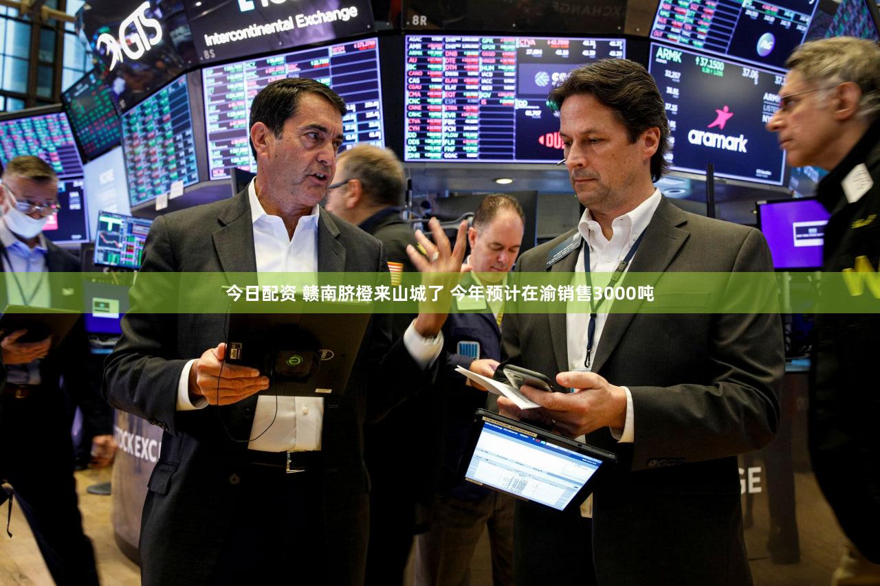 今日配资 赣南脐橙来山城了 今年预计在渝销售3000吨