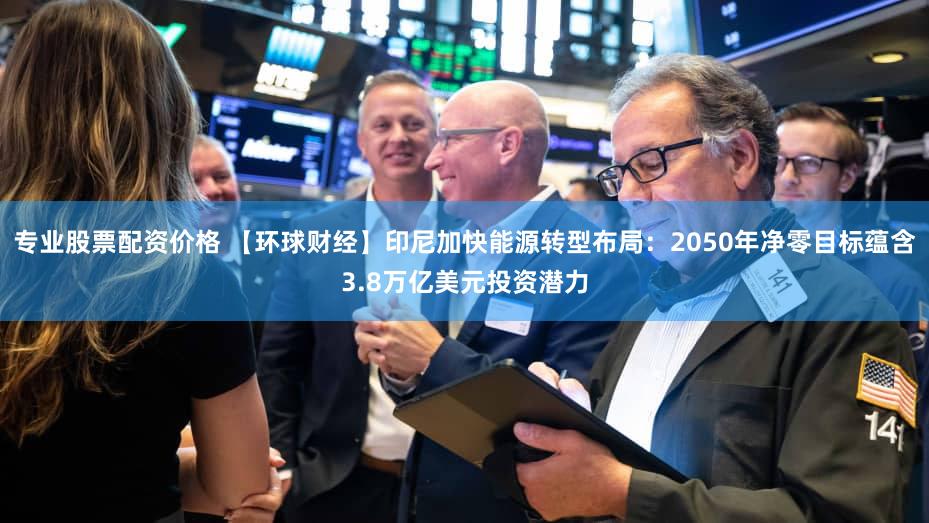 专业股票配资价格 【环球财经】印尼加快能源转型布局：2050年净零目标蕴含3.8万亿美元投资潜力