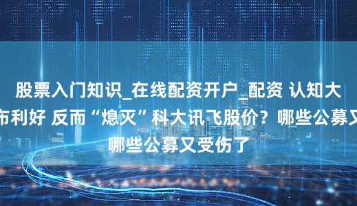 股票入门知识_在线配资开户_配资 认知大模型发布利好 反而“熄灭”科大讯飞股价？哪些公募又受伤了